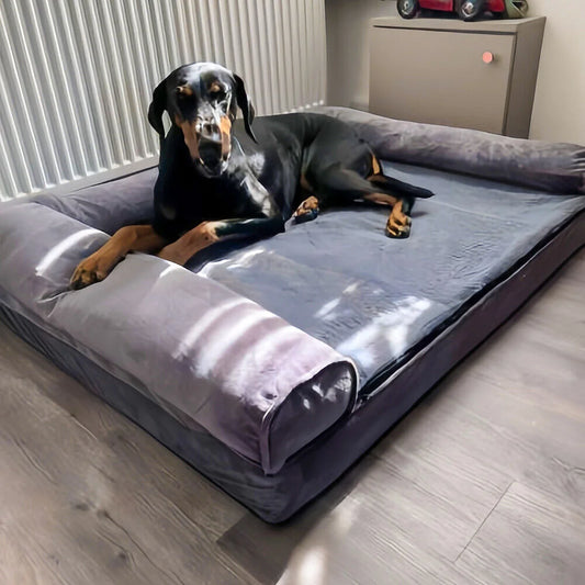 Large Calming Orthopedic Dog Sofa Bed