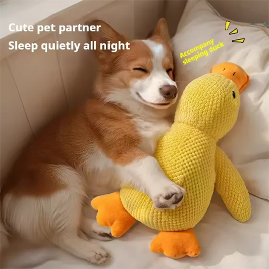 Bouncy Duck Bite Toy – Tough Plush for Grinding & Playtime