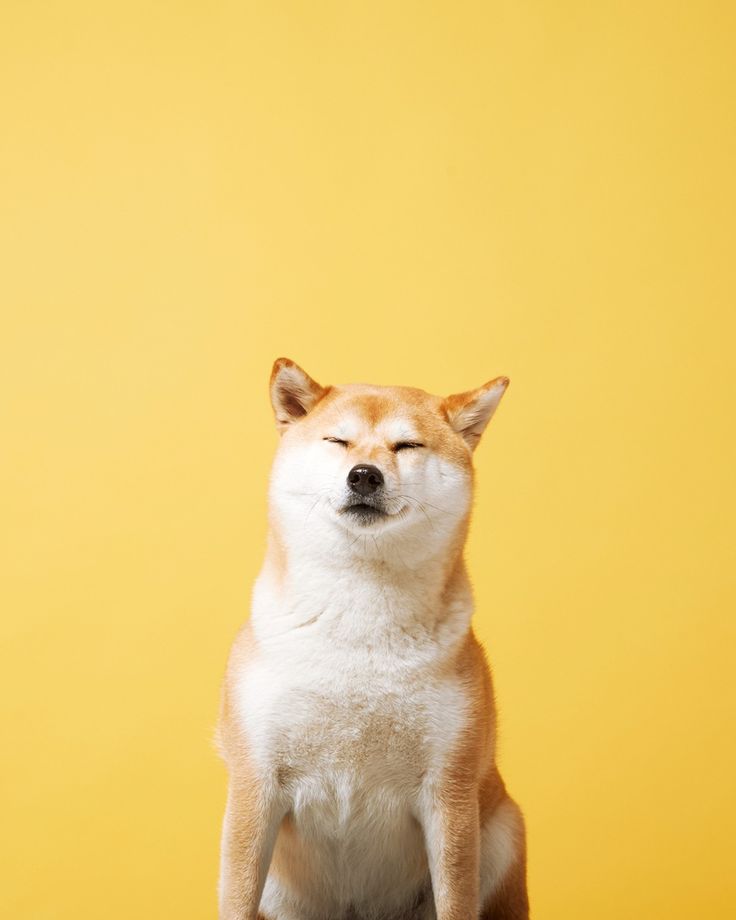 50% OFF - Code Applied Automatic