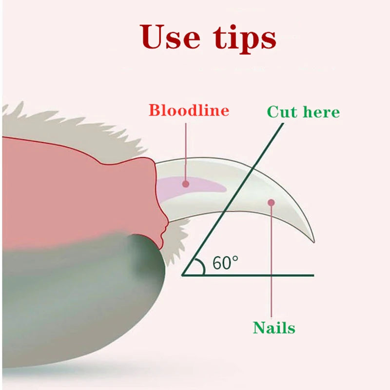 Professional Pet Nail Clipper LED Light Pet Nail Clipper Claw Grooming Scissors
