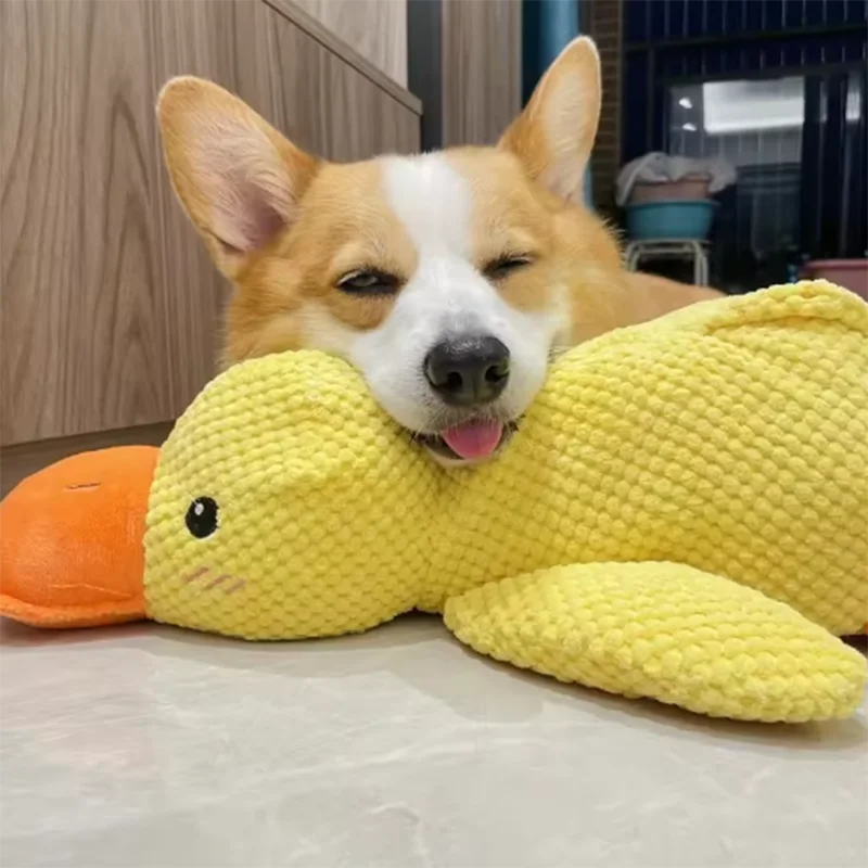 Bouncy Duck Bite Toy – Tough Plush for Grinding & Playtime