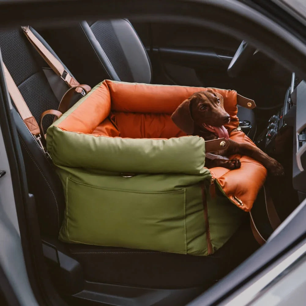 Luxury Leather Booster Bed