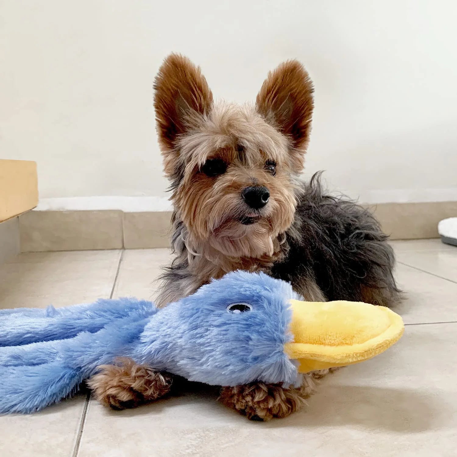 Duck Plush – Sound Toy for Fun Play & Training