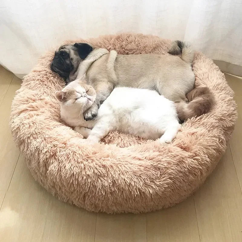 WhiskerCloud™ – Plush Donut Cat Bed, All-Size Friendly