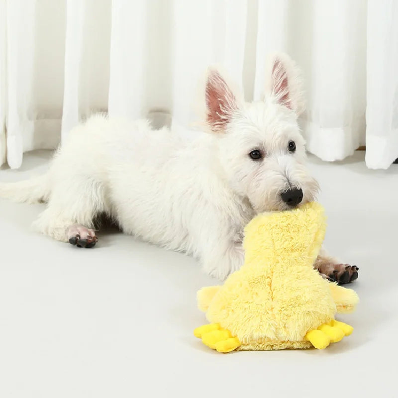 Duck Plush – Sound Toy for Fun Play & Training