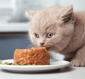 Love my sofa cushion covers!